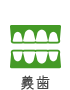 義歯